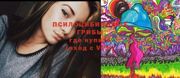 прущая мука Алзамай