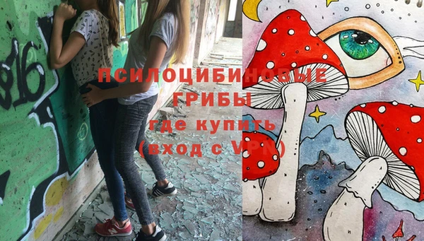 прущая мука Алзамай