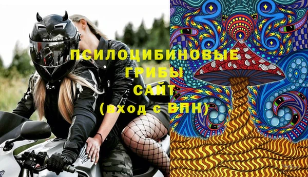 дживик Абинск