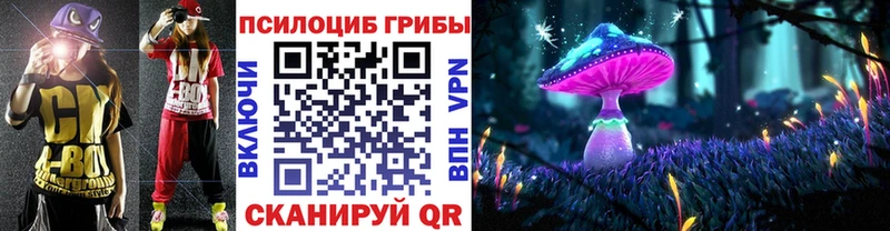где купить наркотик  Шахты  Галлюциногенные грибы Psilocybine cubensis 